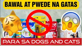 Bawal at Pwede Na Gatas For Your Cats and Dogs