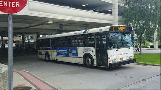 Westchester Bee Line: 2005-2007 orion 5s at Fordham/White Plains