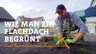 Wie man ein Flachdach begrünt | SWR Handwerkskunst