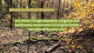 SINCERE Talks #4 Climate change adaptation and biodiversity conservation in Europe