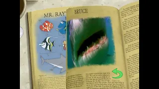 Finding Nemo - Set Top Activity - Mr Ray's Encyclopedia