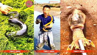 Catching Seafood Deep-Sea Octopus (Catch Crab, Catch Fish) - Tik Tok #5