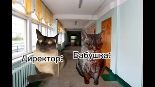 Школьные будни "Говорите громче!"