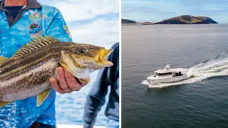 Reel Deep Adventure Charters (Fishing/Diving Charter Tasmania)
