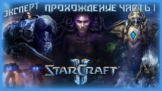 ДЖИМ РЕЙНОР И ТАЙКУС ФИНДЛИ - Прохождение StarCraft II: Wings of Liberty (ЭКСПЕРТ) #1