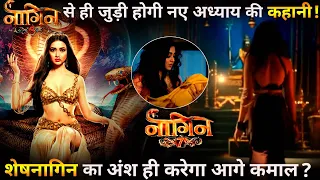 Naagin 7: Will Story of Naagin 7 Related to Naagin 6?