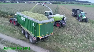 Maishäckseln 2023 Teil 10, LU B.Braunger mit Claas Jaguar 950,  Oberland Service Fendt 724, 722 [4K]