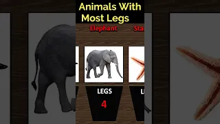 Top 16 Animals With Most Animals | Animals With Highest Legs