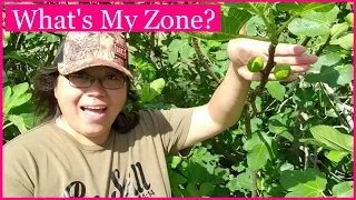 Plant Hardiness Zones | Growing Zones | Explained