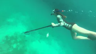 spearfishing western Australia