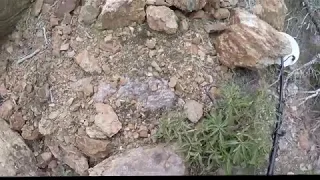 Gold Detecting in Big Bear - Gold Mountain gold Mine