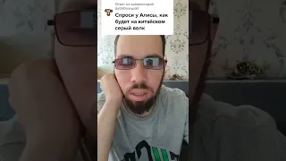 Слушай Алиса как будет серый волк на китайском