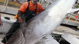 WE CAUGHT THE BIGGEST FISH IVE EVER SEEN ~  (The REAL Wicked Tuna)