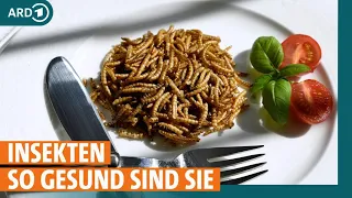 Insekten in Lebensmitteln: Wie gesund sind sie? | ARD Gesund