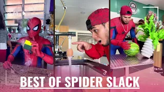 Spider Slack TikTok Videos | Spider Slack TikTok Compilation | Spider Slack Funny Videos