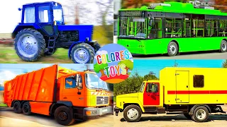 Cars - we study transport, construction equipment and colors, developing cartoons for children