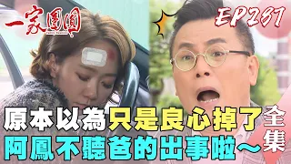 一家團圓 EP287原本以為只是良心掉了！阿鳳不聽爸的出事啦～｜Family Reunion｜完整版｜【成功環保標章白板筆】