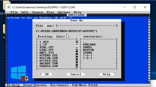 Running DOS applications on Windows 10 (x64)!