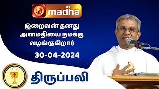 🔴30 APRIL 2024 Holy Mass in Tamil 06:00 PM (Evening Mass) | Madha TV