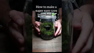 Easy Cave Terrarium!