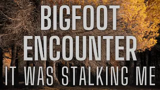 A Novice Outdoorsmen Meets Bigfoot | The Eyes Were Like "Bulbs"