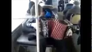 Бумер на "Баяне" в автобусе ШОК