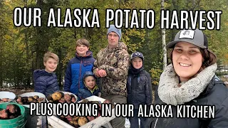 Potato Harvest Time & Cook with Us in Our Alaska Kitchen