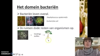 Ordening - Het domein van de bacteria en de archaea