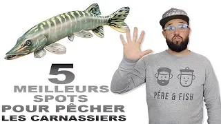 DÉBUTANT 2 PÊCHE #2 : Les 5 MEILLEURS SPOTS pour PÊCHER les CARNASSIERS (brochet, perche, sandre...)