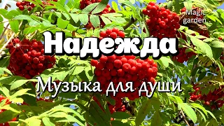 Надежда - Музыка Константина Алексеенко. Музыка для души.