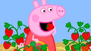 Peppa Pig Full Episodes | Season 8 | Compilation 17 | Kids Video