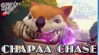 The Hunt for Chapaa Tickets Continues - Palia ( LIVE )