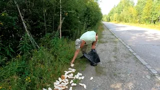 От такой находки волосы встали дыбом / Нашли в лесу ГОРУ хлеба / Это могло привлечь медведя