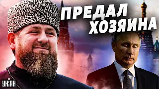 "Путин лоханулся". Кадыров это унюхал и предал хозяина - Гудков