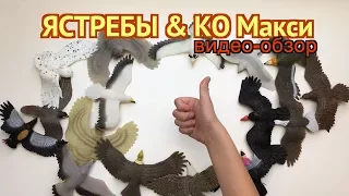 Ястребы и Ко Макси (от ДеАгостини 2017), распаковка, видео-презентация