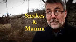 Snakes and Manna (Numbers 21:4-9)