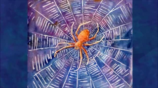 Spider Totem: Spirit Meaning of Spider