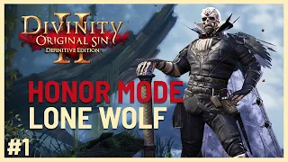 Divinity: Original Sin 2 - Honour Mode Lone Wolf Run | The Hold | #1