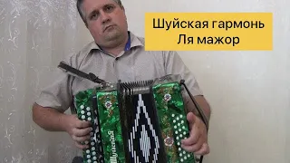 #Шуйская гармонь Ля мажор +79535612158