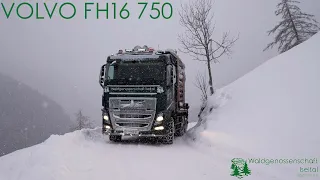 VOLVO FH16 750 Holzbringung / Schneefall St. Johann im Walde