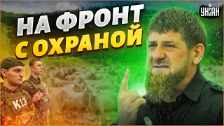 Кадыров рассмешил чеченцев, отправив в Украину сыновей с личной охраной