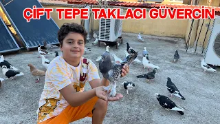 Our Brother Kıvanç Gifted Us A Wonderful Tumble Pigeon