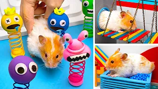 Construisons un Labyrinthe-Rainbow Friends super Original pour nos Amis Hamsters !