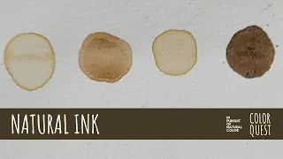HOW TO MAKE NATURAL INK WITH ACORNS, CONES & LEAVES | ORGANIC COLOR | BEIGE BROWN | FORAGE IN PRAGUE
