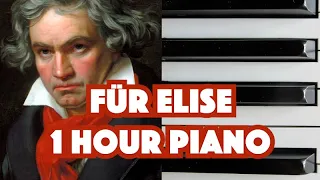 Für Elise - Ludwig van Beethoven (1 Hour Piano, Classical Music, Love, Romantic, Melodic)