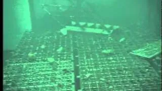 Fukushima Spent Fuel Pool Video - Unit 4