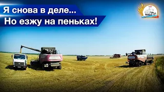 Подо мной на МАЗе лопается не только балка...) Молотят ячмень два ПАЛЕССЕ и два АКРОСа.