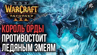 КОРОЛЬ ОРДЫ ПРОТИВОСТОИТ ЛЕДЯНЫМ ЗМЕЯМ: Warcraft 3 Reforged