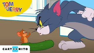 Tom und Jerry | Gurkenphobie | Cartoonito