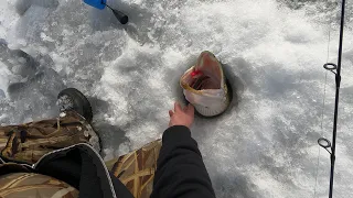 WINEFRED LAKE MONSTER PIKE